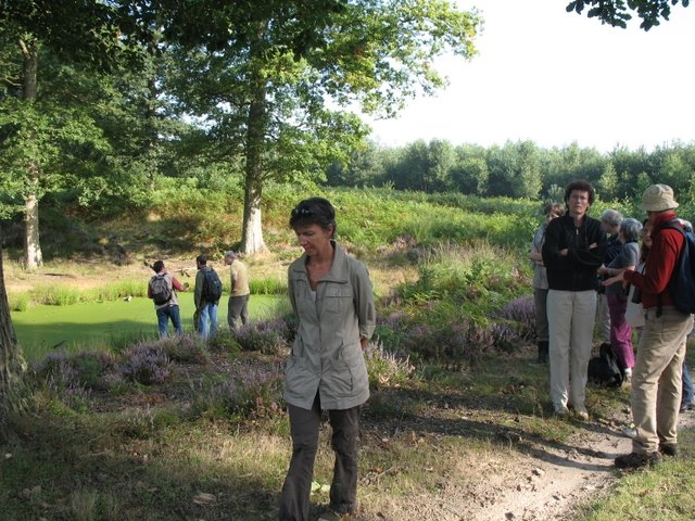 2007 08 Bois de Rochefort 07